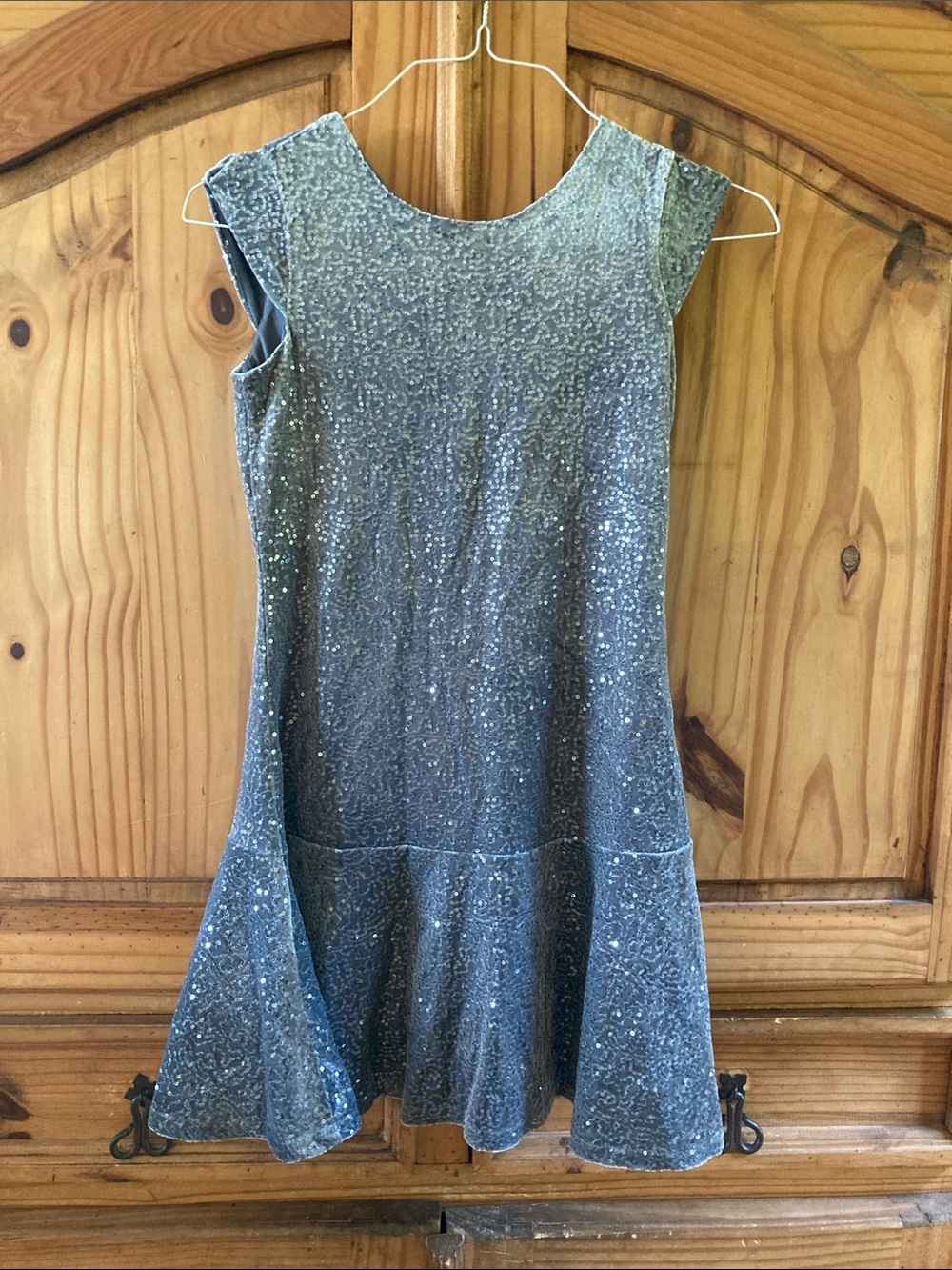 Place silver sequin flare skirt cap sleeve dress size XL (14) - NWT